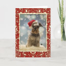 Pesquisar por schnauzer christmas cartoes postais Cães