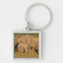 Pesquisar por elefante africano chaveiros África