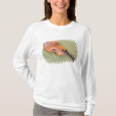 Pesquisar por violas roupas Musical