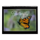 Pesquisar por borboletas calendarios fotografia