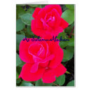 Pesquisar por salame cartoes postais Eid