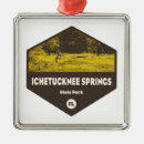 Pesquisar por orlando ornamentos Tampa