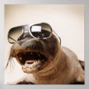 Pesquisar por selos pôsteres Animal