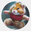 Pesquisar por hamster adesivos Fofofo