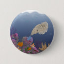 Pesquisar por invertebrado Coral
