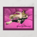 Pesquisar por gute cartoes Rosa