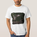 Pesquisar por ospreys camisetas Aves
