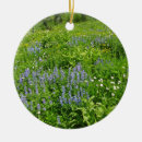 Pesquisar por flor do campo ornamentos Paisagem