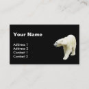 Pesquisar por urso cartao de visita Fotografia