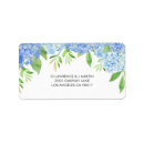 Pesquisar por flor do hydrangea Hidrangea