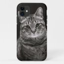 Pesquisar por gato malhado iphone capas Gatinho