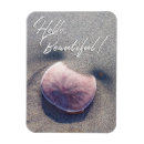 Pesquisar por de surf casa imas For her