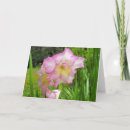 Pesquisar por gladiola cartoes Colorido