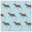 Pesquisar por canadá artesanato material Alaska