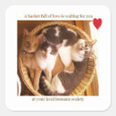 Pesquisar por cesta artesanato material Qualquer pessoa