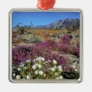 Pesquisar por florescência ornamentos Flora