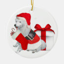 Pesquisar por terno ornamentos Papai noel
