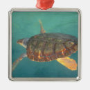 Pesquisar por américa central ornamentos Verde