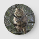 Pesquisar por gato malhado relogios de parede Gatos