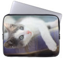 Pesquisar por de cama capas Gato