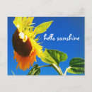Pesquisar por sunflower cartoes postais Girassol