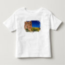 Pesquisar por america do norte camisetas Folha