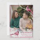 Pesquisar por cardeal natal cartoes Pássaro cardeal vermelho