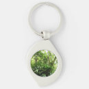 Pesquisar por plants chaveiros Floresta tropical