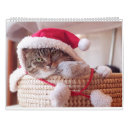 Pesquisar por engraçado calendarios Fofofo