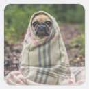 Pesquisar por canil adesivos Fofofo