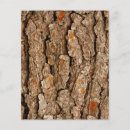 Pesquisar por textura madeira artesanato material Natureza