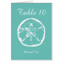 Pesquisar por sand dollar cartoes postais Beach