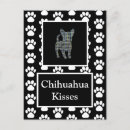 Pesquisar por chihuahua branca cartoes postais Fofofo