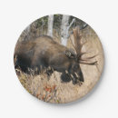 Pesquisar por alces pratos Natureza