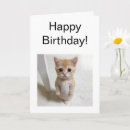 Pesquisar por gato engraçado do gatinho cartoes For him