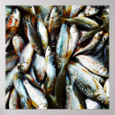 Pesquisar por peixes pôsteres Engraçado