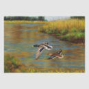 Pesquisar por pato selvagem papeis de seda Aves aquáticas