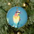 Pesquisar por pássaros coloridos ornamentos Animais