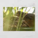 Pesquisar por brazil cartoes postais Brasil