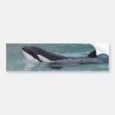 Pesquisar por baleia orca adesivos carros Azul
