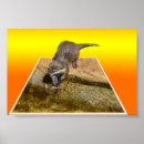 Pesquisar por arte outros Lontra