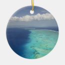 Pesquisar por fiji ornamentos Areia