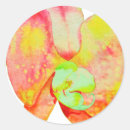 Pesquisar por flores tropicais adesivos Orquídeas