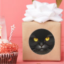 Pesquisar por gato preto engraçado adesivos Gata