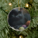 Pesquisar por companheiro ornamentos Gato