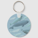 Pesquisar por beluga chaveiros Baleia