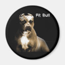 Pesquisar por t shirt imas Cão