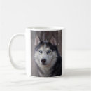 Pesquisar por siberian husky canecas Cão husky siberiano