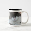 Pesquisar por cauda de gato canecas Gatos
