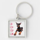 Pesquisar por doberman pinscher chaveiros Cães
